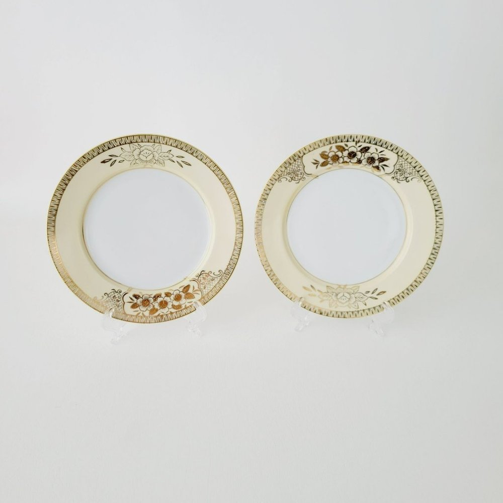 Vintage Floral Chikaramachi Gold & Cream Embossed Hand-Painted Salad Plates(2)